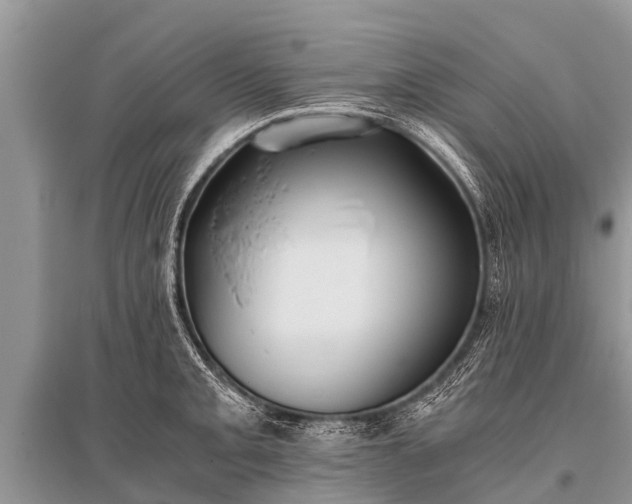 X0000096141093200801251035