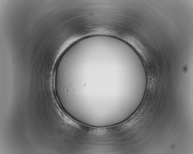 X0000096141094200801251035