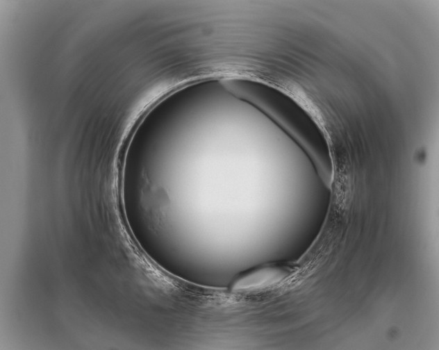 X0000096141096200801251035