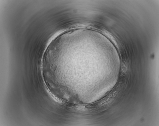 X0000096141098200801251035