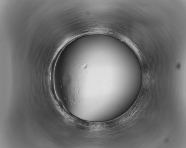 X0000096141099200801251035