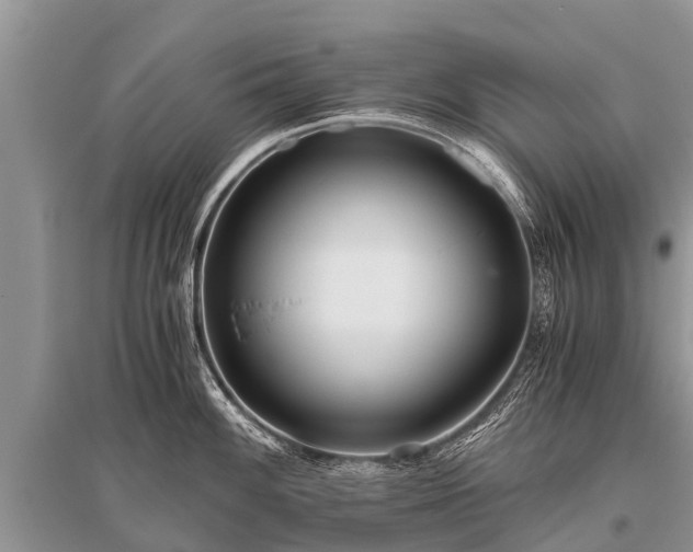 X0000096141100200801251035