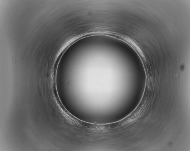X0000096141101200801251035
