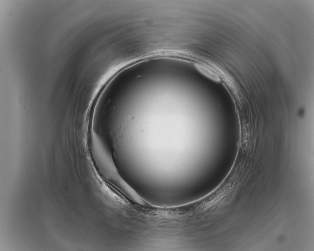 X0000096141102200801251035