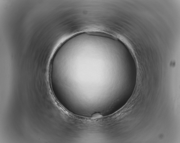 X0000096141104200801251035