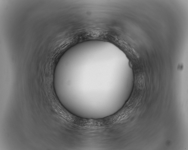 X0000096141105200801251034