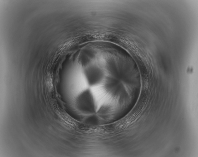 X0000096141106200801251034