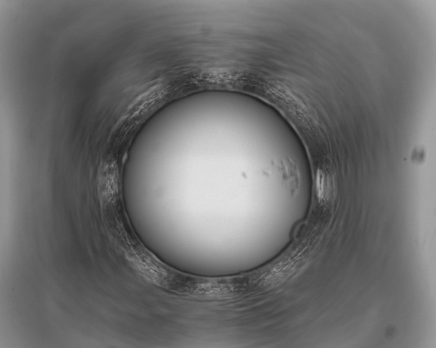 X0000096141107200801251034