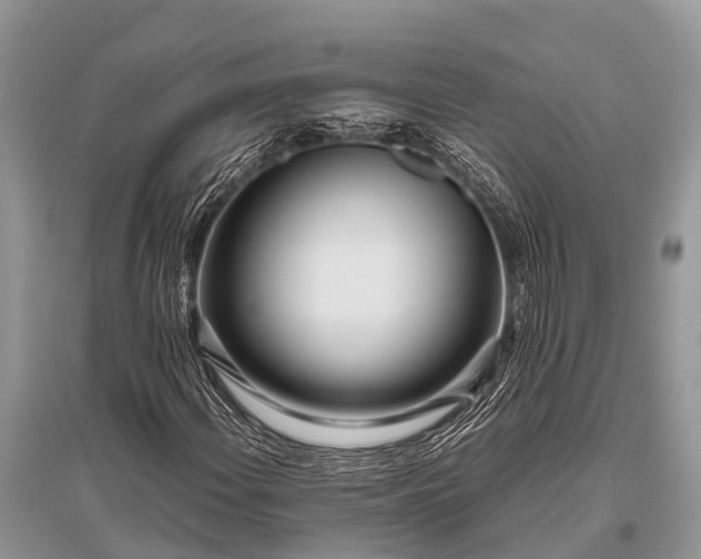 X0000096141108200801251034