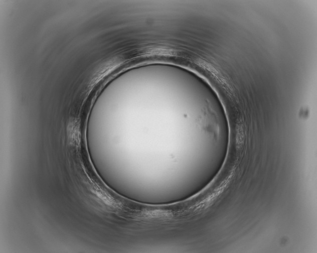 X0000096141113200801251034