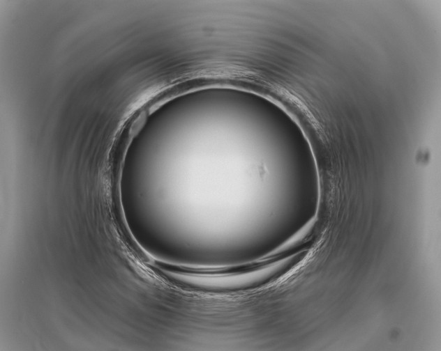 X0000096141114200801251034