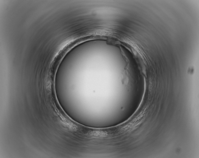 X0000096141115200801251034