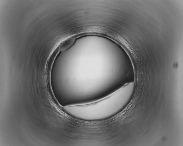 X0000096141116200801251035