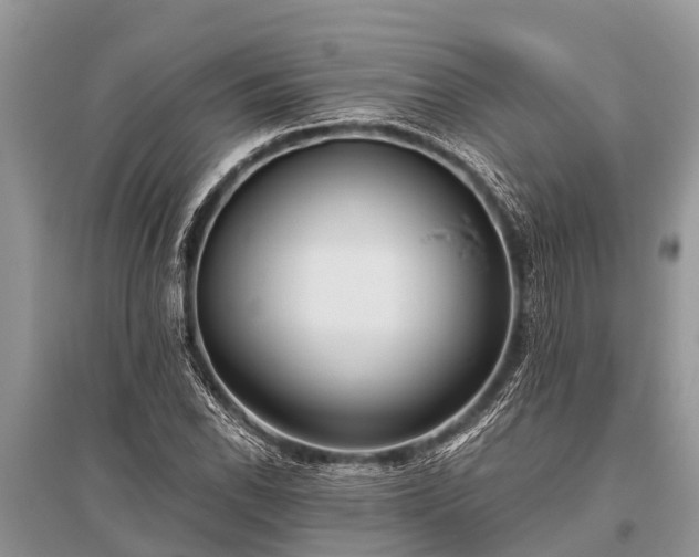 X0000096141118200801251035