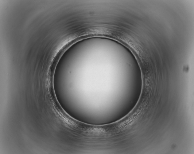 X0000096141119200801251035