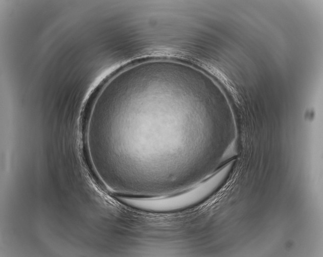 X0000096141120200801251035