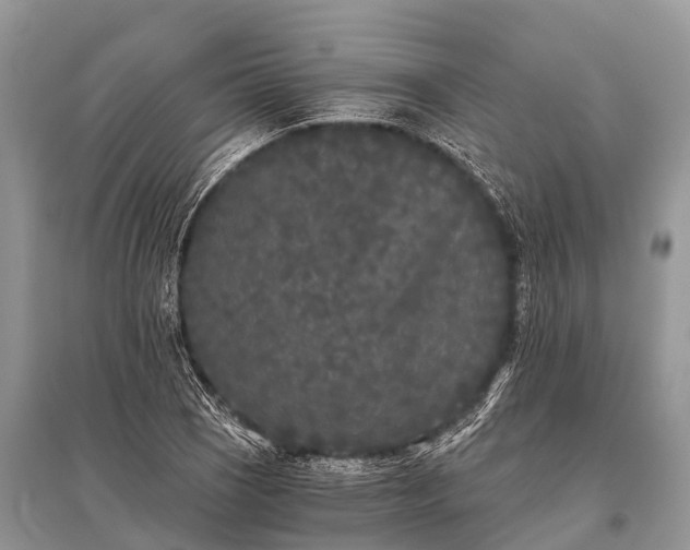 X0000096141121200801251035