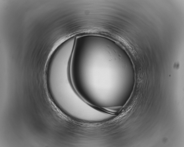 X0000096141122200801251035