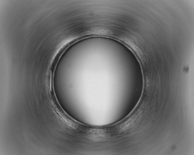 X0000096141123200801251035