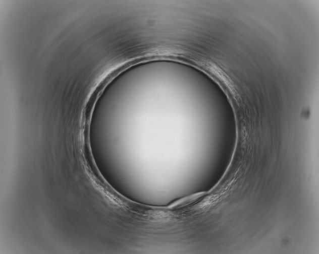 X0000096141124200801251035