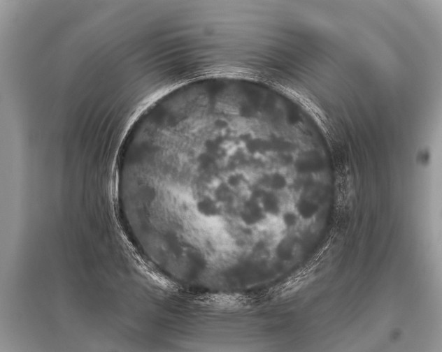 X0000096141125200801251035