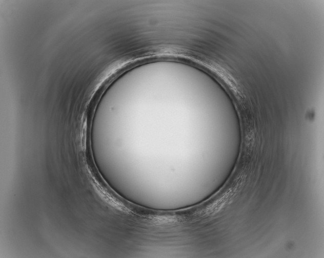 X0000096141126200801251035
