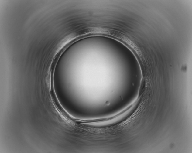 X0000096141127200801251035