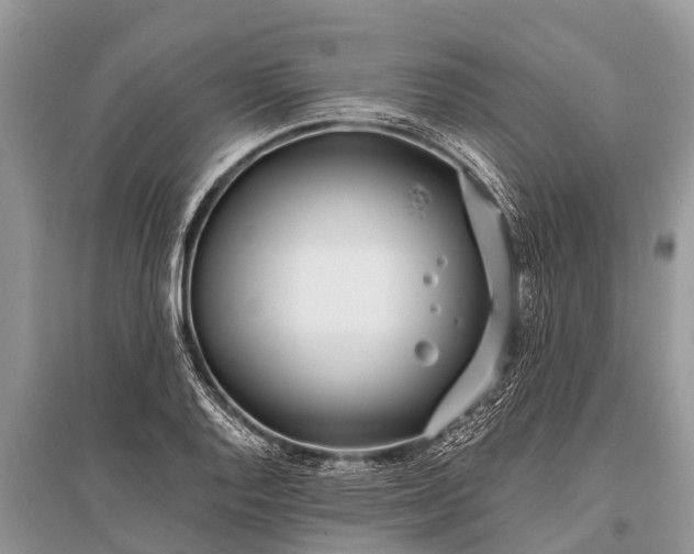 X0000096141128200801251035