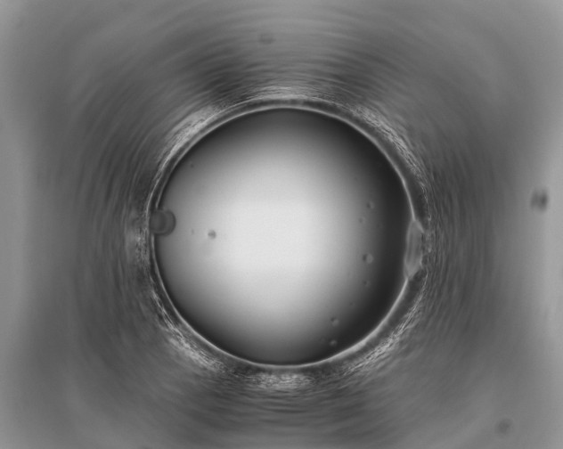 X0000096141129200801251035