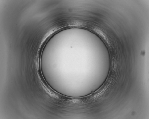 X0000096141130200801251035