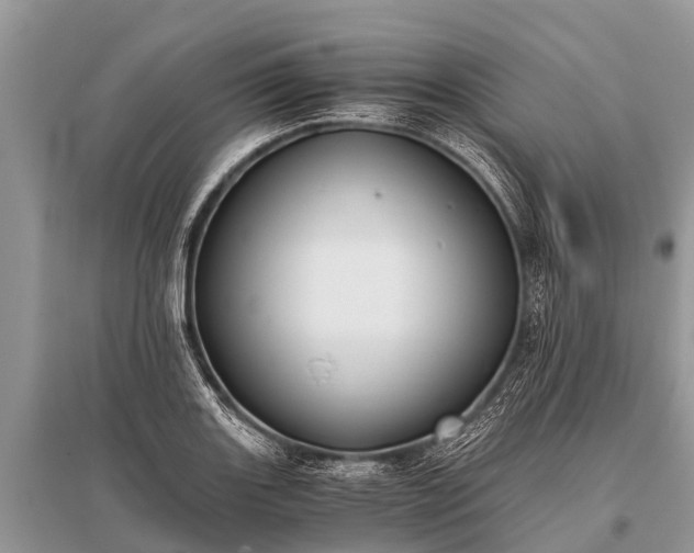X0000096141131200801251035