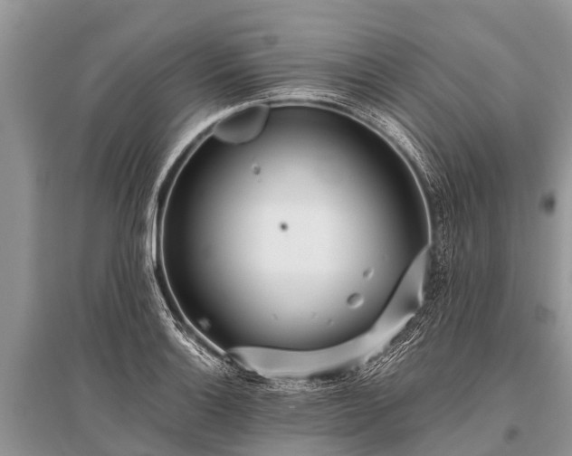 X0000096141132200801251035