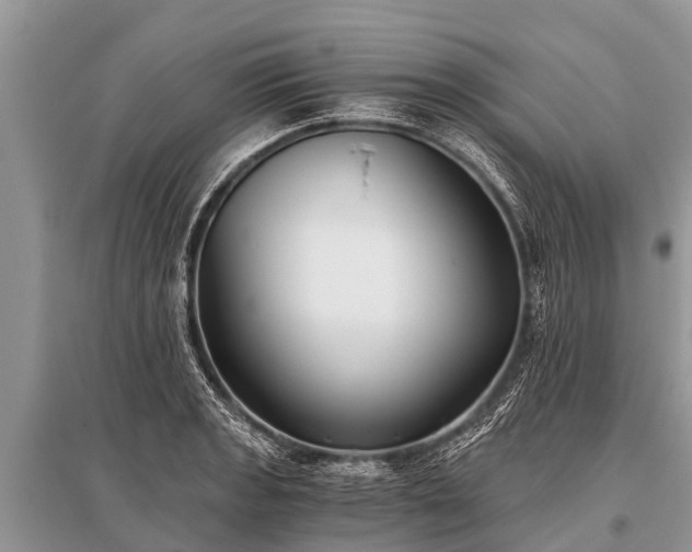 X0000096141133200801251035