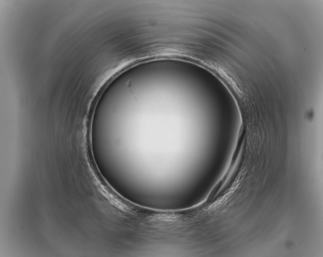 X0000096141134200801251035