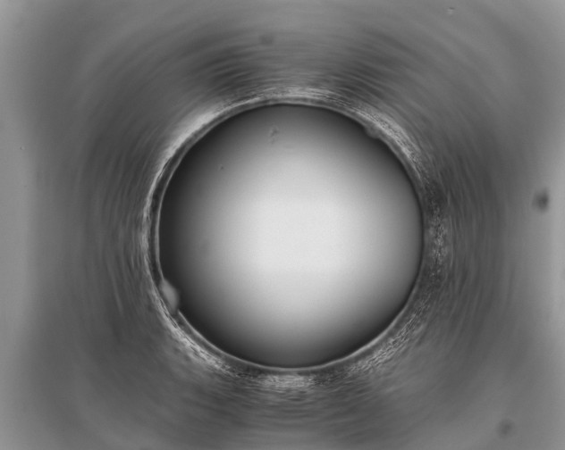 X0000096141135200801251035
