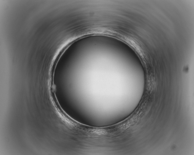 X0000096141136200801251035