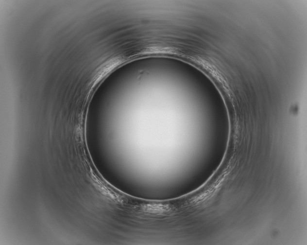 X0000096141137200801251035