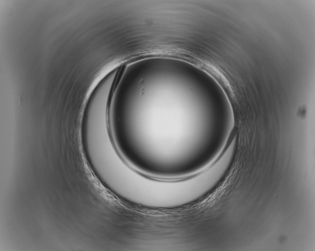 X0000096141138200801251035