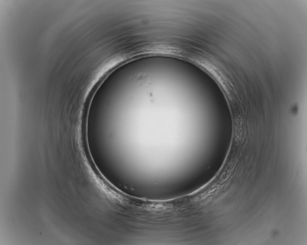 X0000096141139200801251035