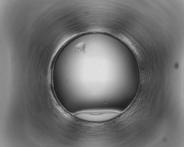 X0000096141140200801251035