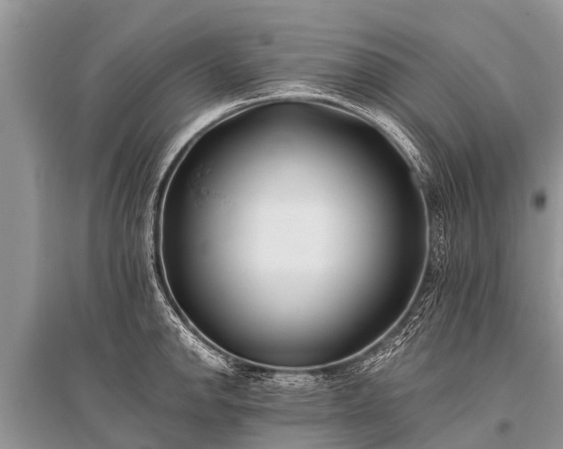 X0000096141142200801251035
