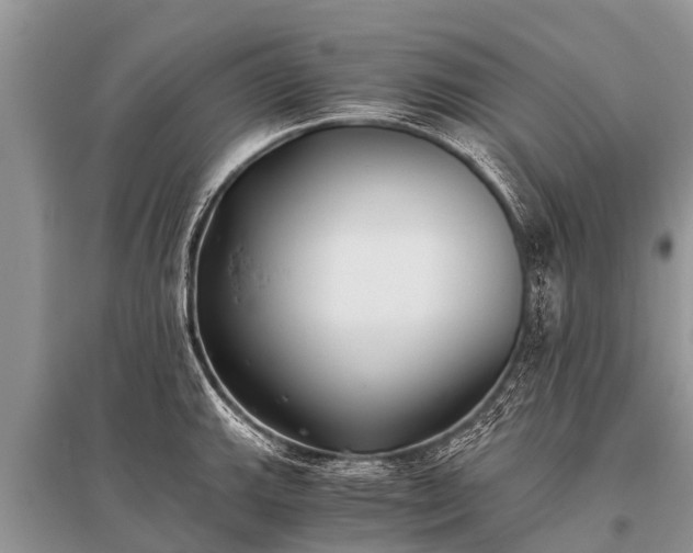 X0000096141143200801251035