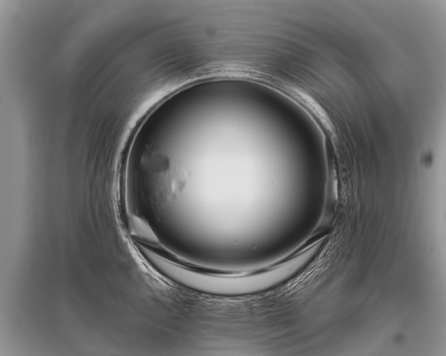 X0000096141144200801251035
