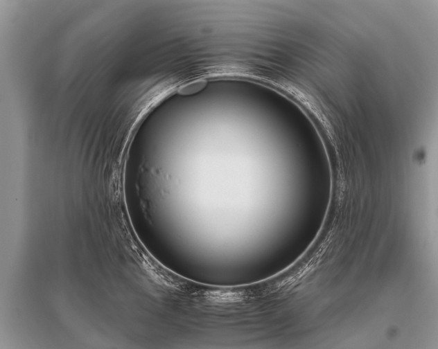 X0000096141145200801251035