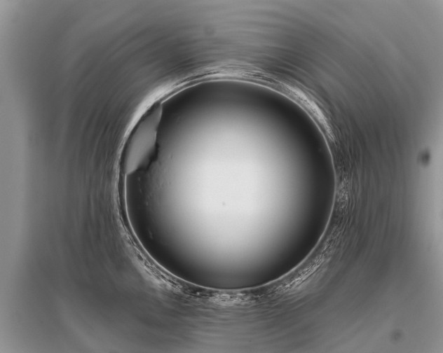 X0000096141146200801251035