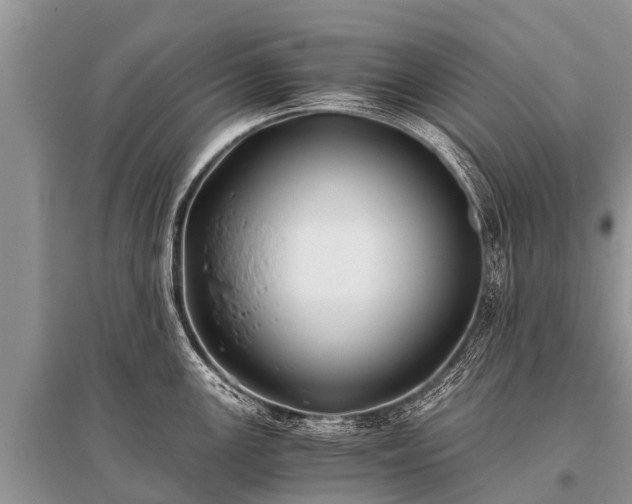 X0000096141147200801251035