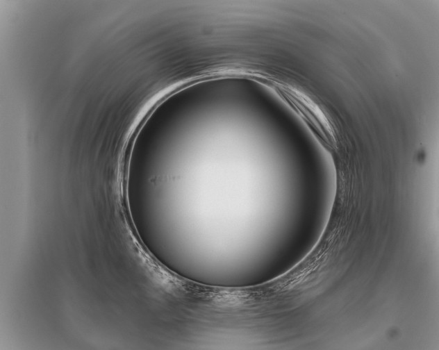 X0000096141148200801251035