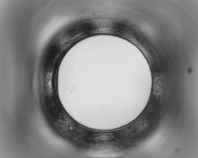 X0000096141150200801251035