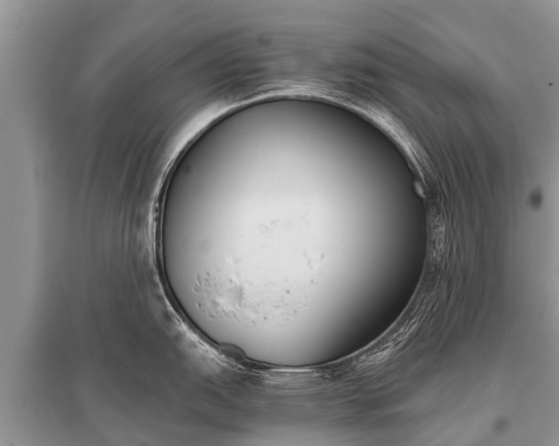 X0000096141151200801251035