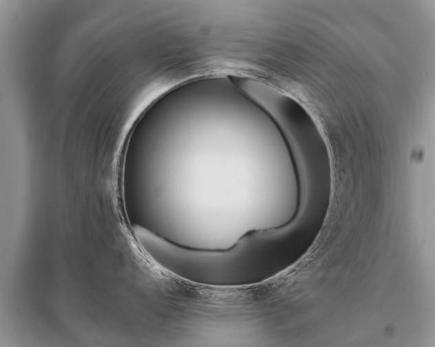 X0000096141152200801251035